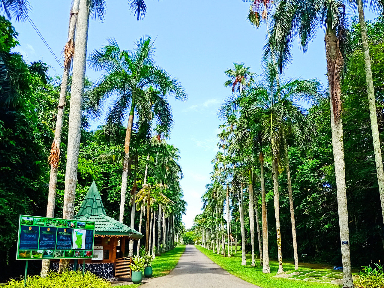Gampaha Image