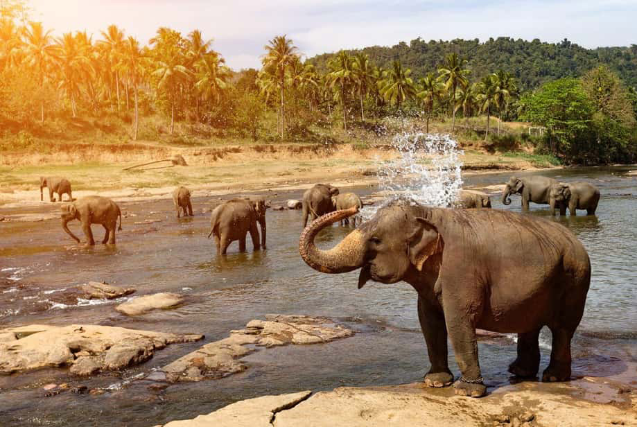 Kegalle Image